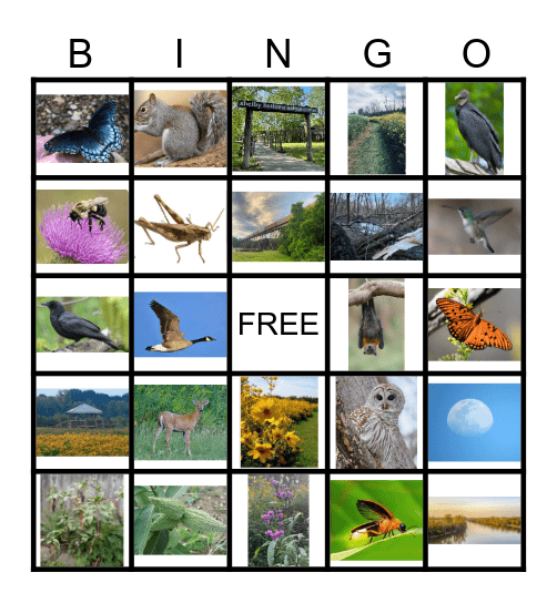 Shelby Park Bingo Card