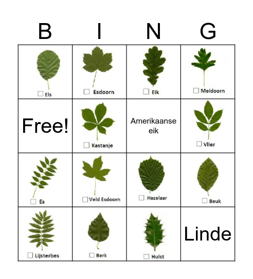 Bos bingo Card