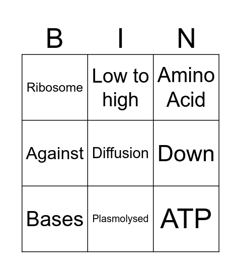 N5 1.1-1.3 Revision Bingo Card