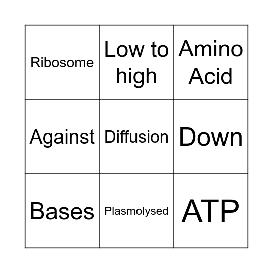 N5 1.1-1.3 Revision Bingo Card