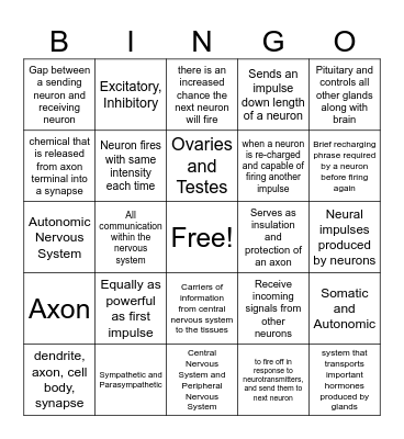 Nervous System Bingo Card