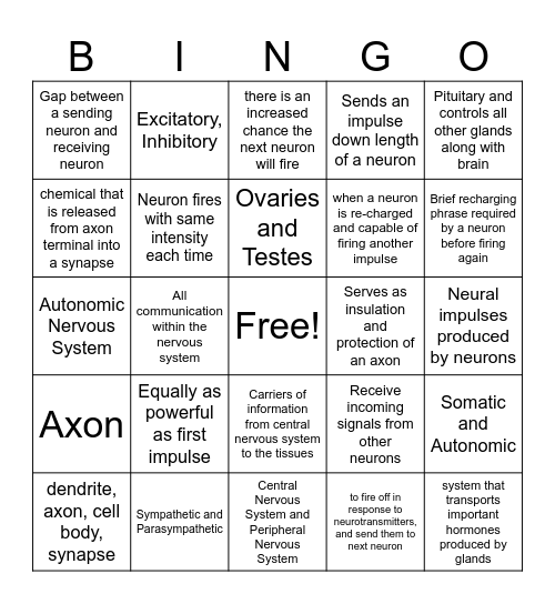 Nervous System Bingo Card