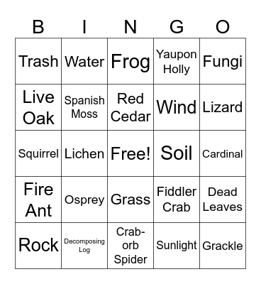 A/Biotic Bingo Card