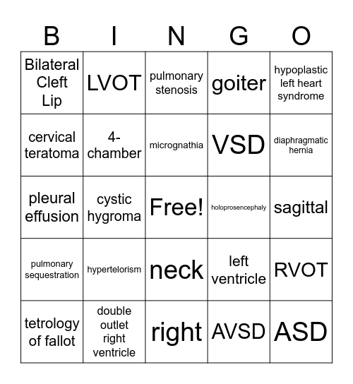 DMS 381 (Exam 2 Review) Bingo Card