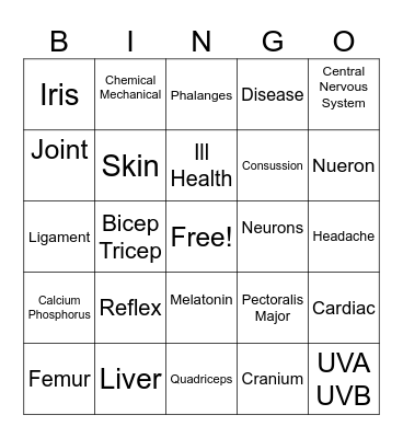 Body Systems Bingo Card
