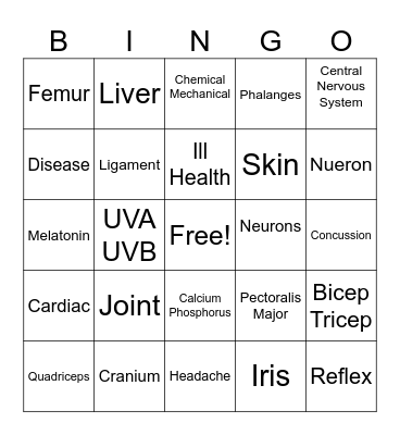Body Systems Bingo Card