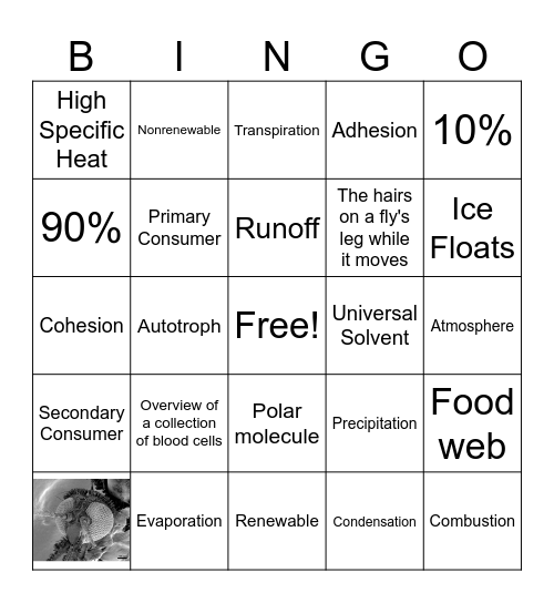 Biology Unit 1 and 2 Review Bingo Card