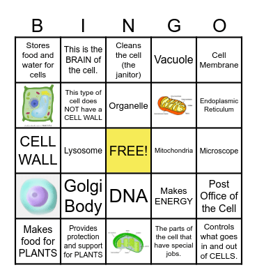 CELL Bingo Card