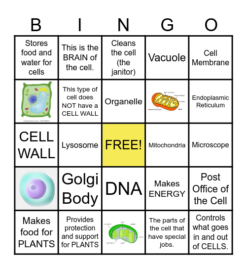 CELL Bingo Card