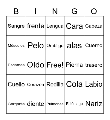 Spanish body parts Bingo Card