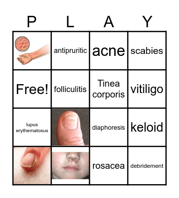 Integumentary System Bingo Card