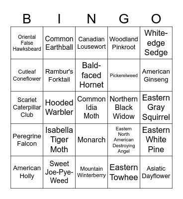 inat bingo september Bingo Card