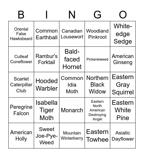 inat bingo september Bingo Card