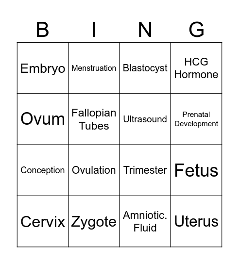 2.01 Prenatal Development Bingo Card