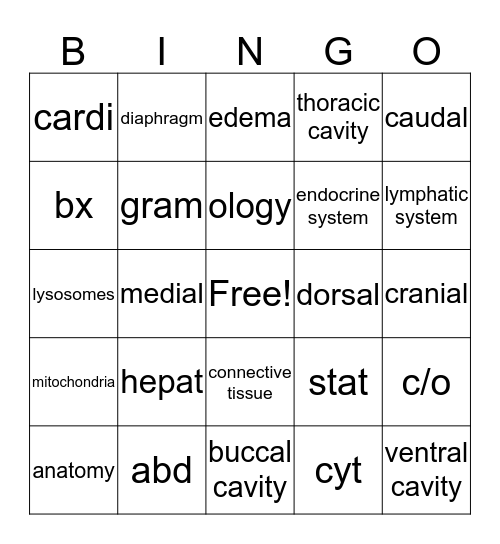 Medical Bingo Card