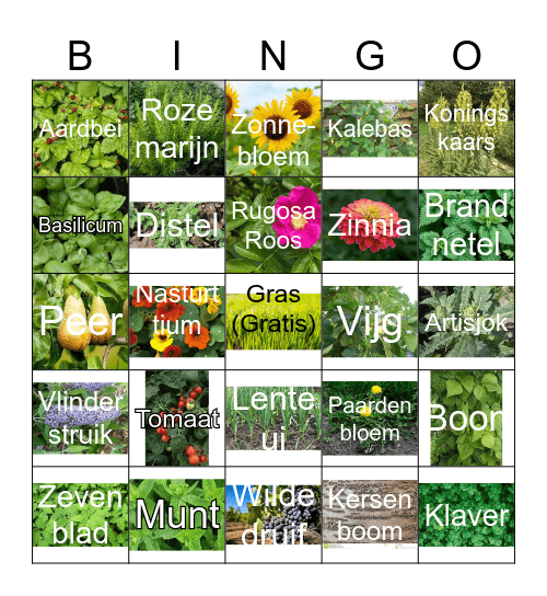 Jan Voertuin Bingo Card
