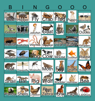 Animals Bingo Card