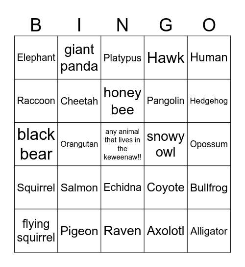 wildlife bingo!!!! Bingo Card