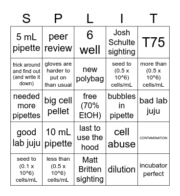 BSC 2419 BINGO Card