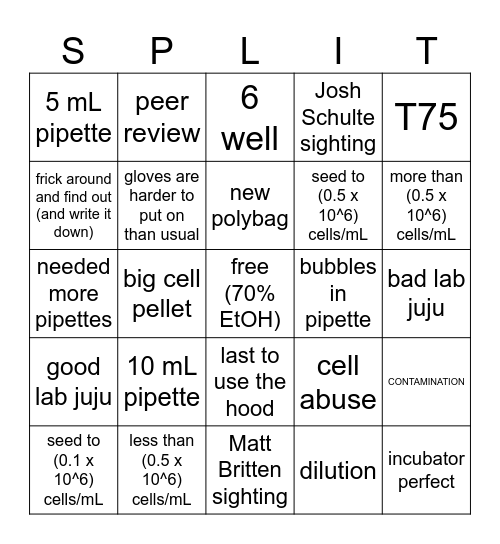 BSC 2419 BINGO Card