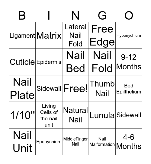 Nail Structure And Growth Bingo Card