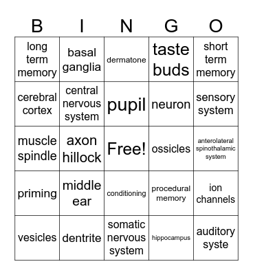 Pentathlon Science Bingo Card