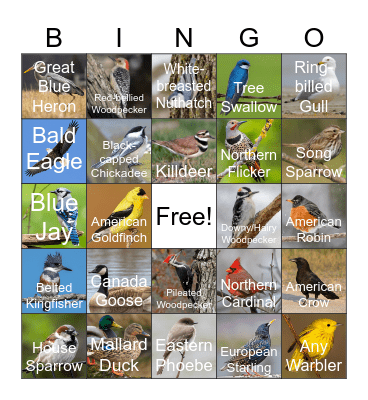 Red Cedar Development Ponds (Fall) Bingo Card