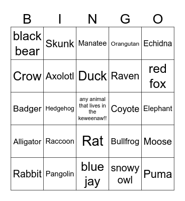 wildlife bingo!!!! Bingo Card