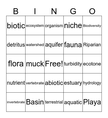 Wetlands Vocabulary  Bingo Card