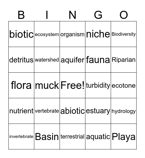 Wetlands Vocabulary  Bingo Card