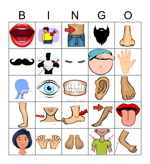 Body part bingo Card