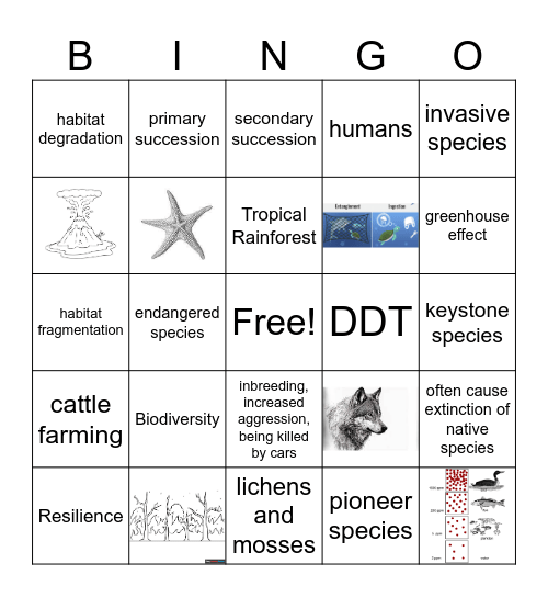 Ecosystem Resilience and Biodiversity Bingo Card