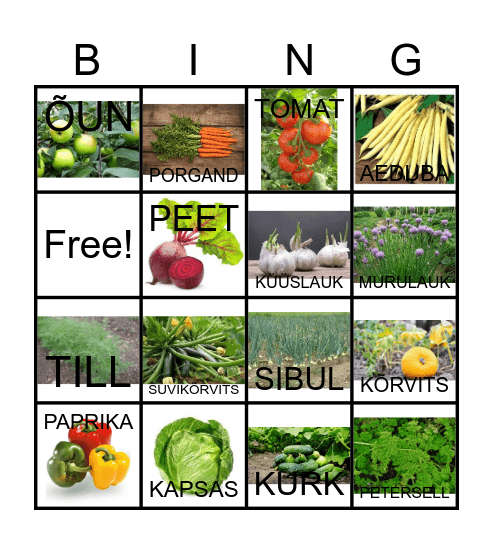 AEDVILI Bingo Card