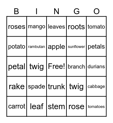 Singular and Plural Nouns Bingo Card