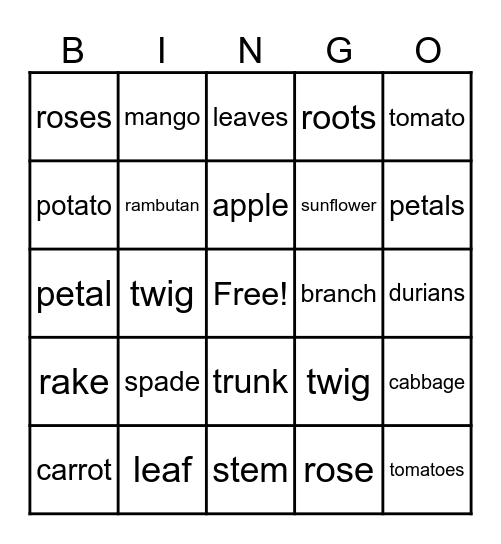 Singular and Plural Nouns Bingo Card