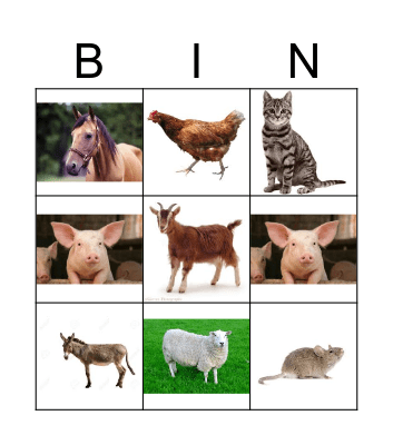 animal bingo  Bingo Card