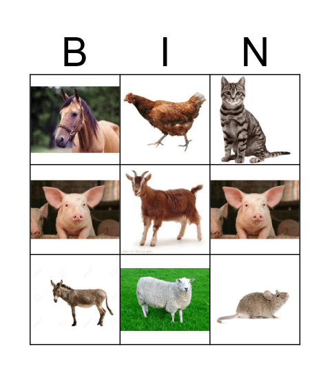 animal bingo  Bingo Card