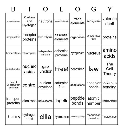 Chapter 1-3 Review Bingo Card