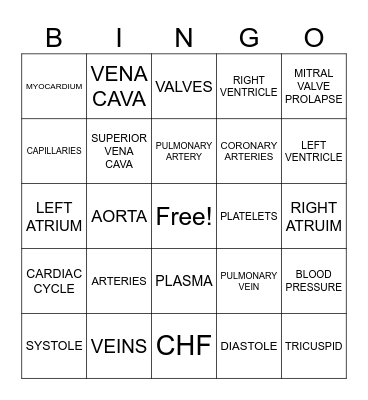 CARDIOVASCULAR SYSTEM Bingo Card
