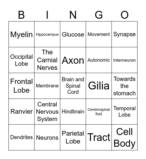 Bio Bingo Card