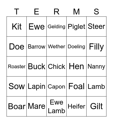 Animal Science Bingo Card