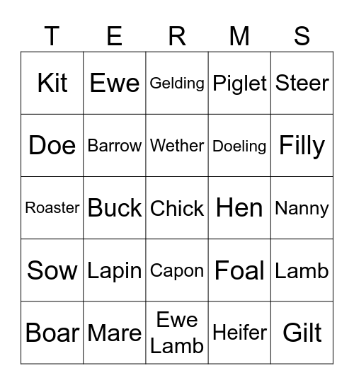 Animal Science Bingo Card