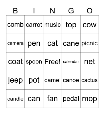 Phonics Week 4 Bingo Card