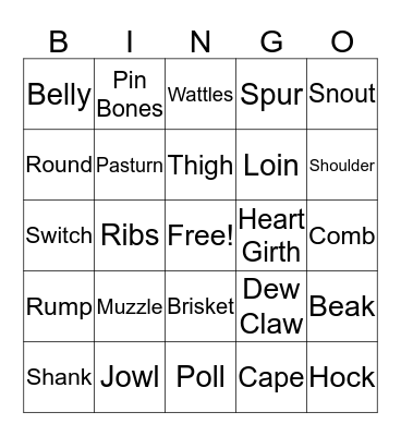 External Anatomy Bingo Card