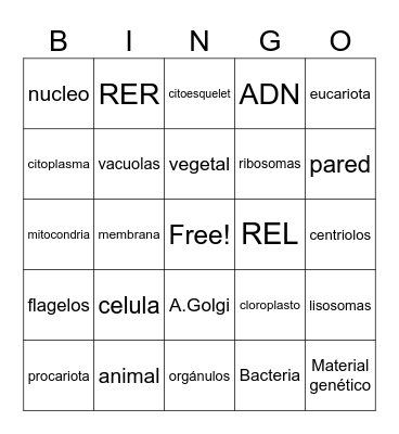 CELULA Bingo Card