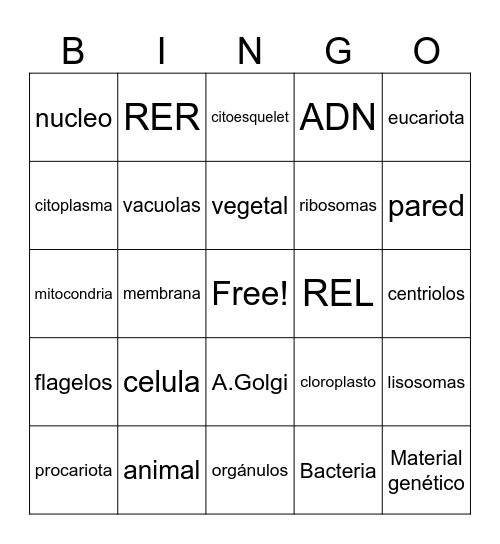 CELULA Bingo Card