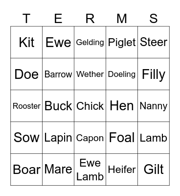 Animal Science Bingo Card