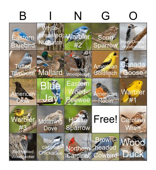 Sanford Natural Area (Fall) Bingo Card