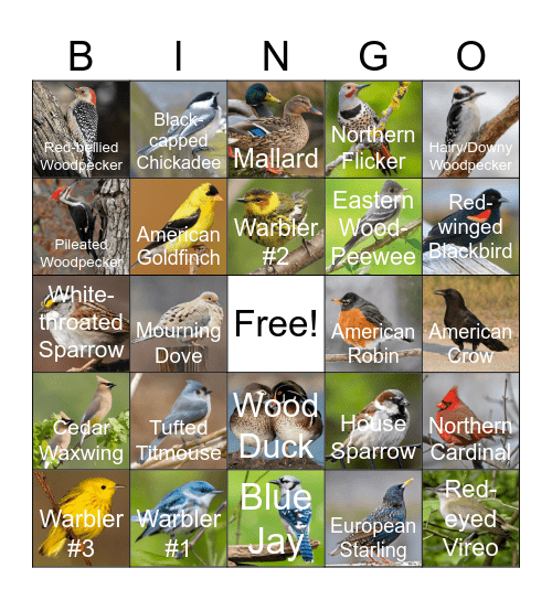 Baker Woodlot (Fall) Bingo Card