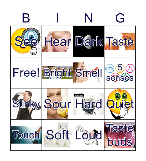 5 senses Bingo Card